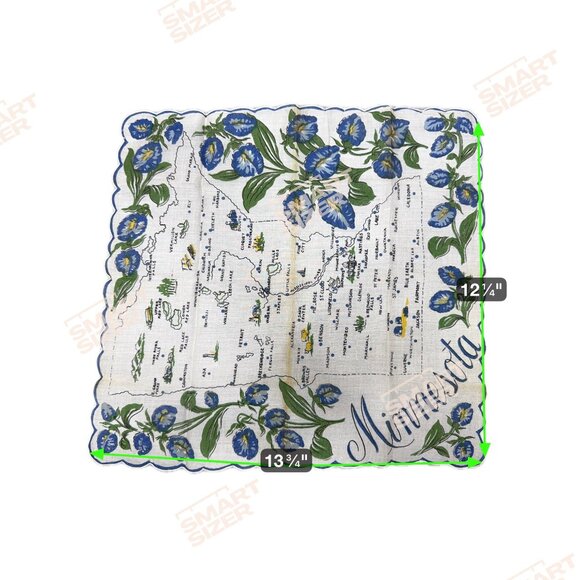 Minnesota State Flower Vintage Handkerchief Souvenir Scalloped Landmarks READ - Picture 4 of 8